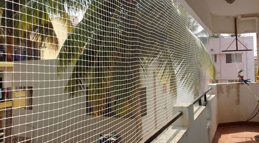 Bird Netting Services